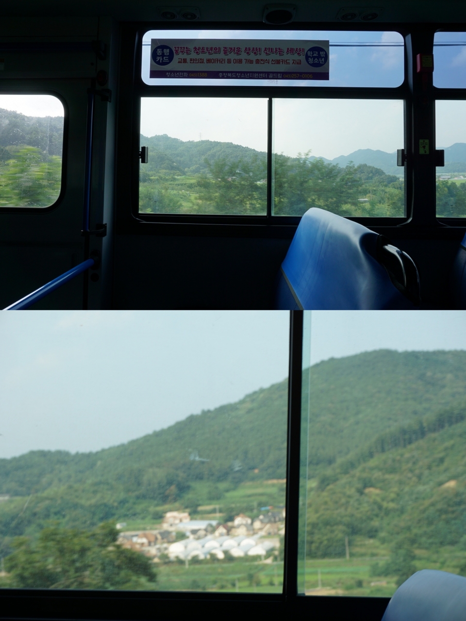 버스 밖으로 보이는 녹색 풍경