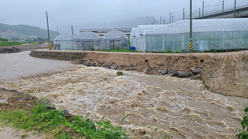 옥천읍 소정리 인근 하천 물이 지속된 비로 불어나고 있다. 13일 오전 10시45분 촬영. (사진:박해윤 기자)