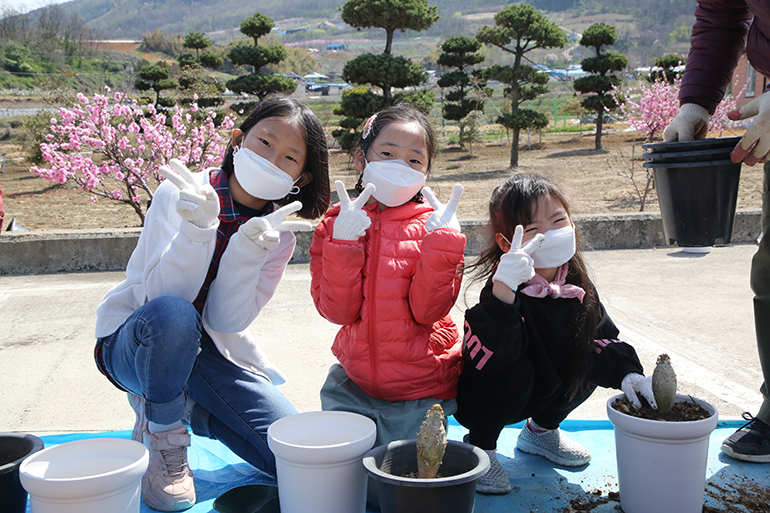 청성초등학교(교장 김욱현) 학생들이 9일 별빛 수목원에서 체험활동을 했다. 학생들은 직접 화분에 화초를 심는 한편 수목원 내 활짝 핀 꽃을 보며 행복한 시간을 보냈다.