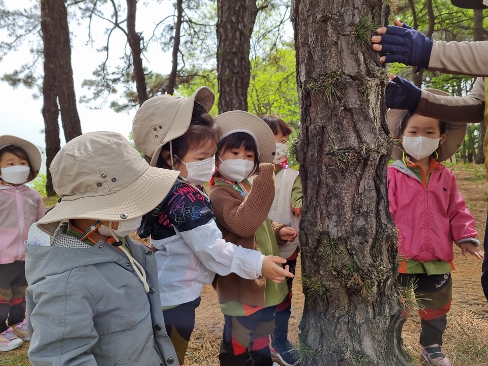 삼양유치원 유아들이 중앙공원에서 나무와 교감하고 있다.