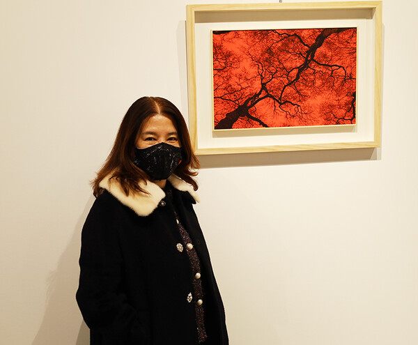 ‘나무’를 주제로 삼은 김송경 회원과 그의 작품