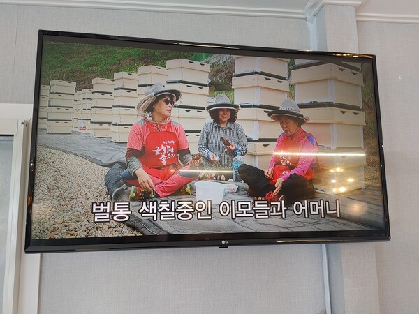 카페에 설치된 TV 화면에 양봉 현장에서 일하는 유 대표의 어머니 서복수(오른쪽) 씨와 지인들이 나오고 있다.