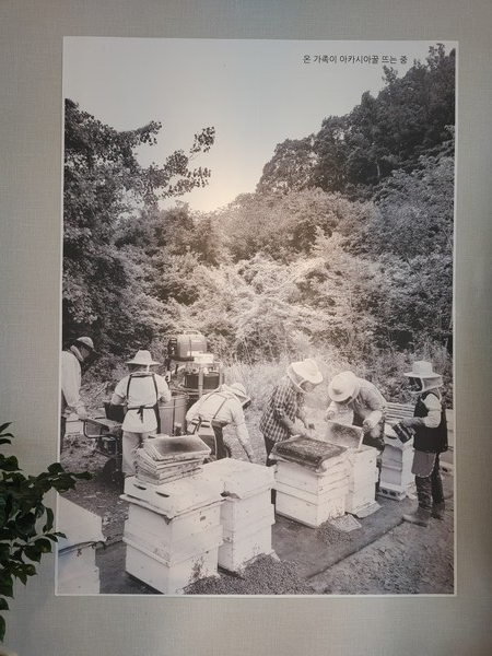 카페 안에 유연희 대표의 가족 친지들이 야외에서 아카시아 꿀을 뜨고 있는 모습을 현수막으로 걸어놨다.