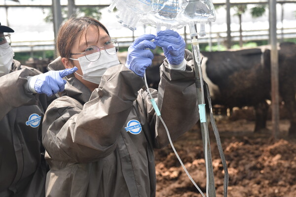 김지윤 학생은 이번 동물병원 진로 체험을 통해 ‘동물 치료 뿐만 아니라 동물을 보호하는 사람의 마음도 같이 살펴야 한다’고 생각했다.