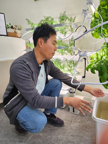 안내면 인포리에 바질, 딜을 재배하는 농업회사법인 블라썸팜 장우석 이사가 수경재배기 관리법을 설명하고 있다.